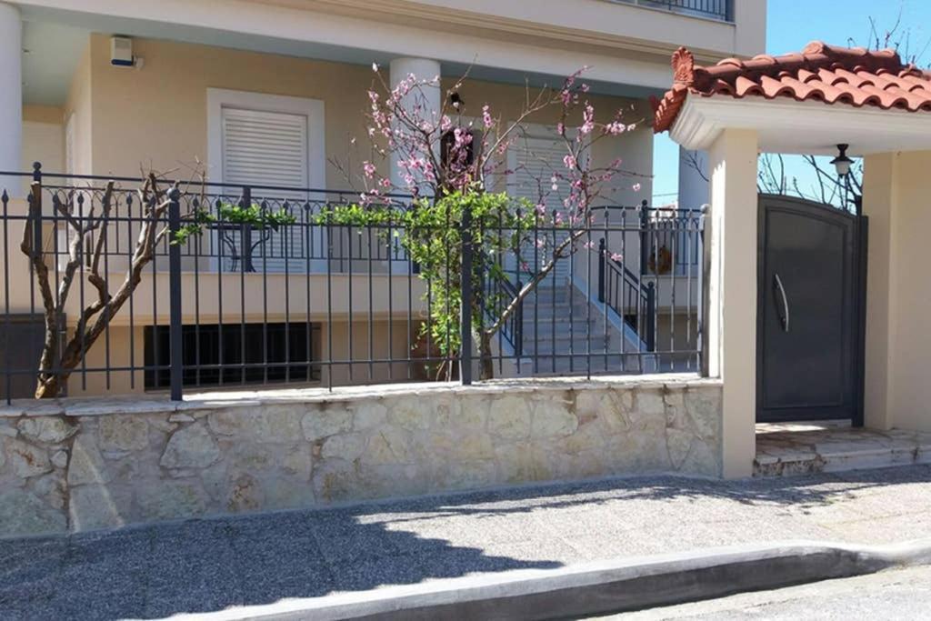 New, Bright, Cozy, Autonomous Apartment With Private Entrance And Garden, 42 M2, 5Min To The Beach And City Center Καλαμάτα Εξωτερικό φωτογραφία